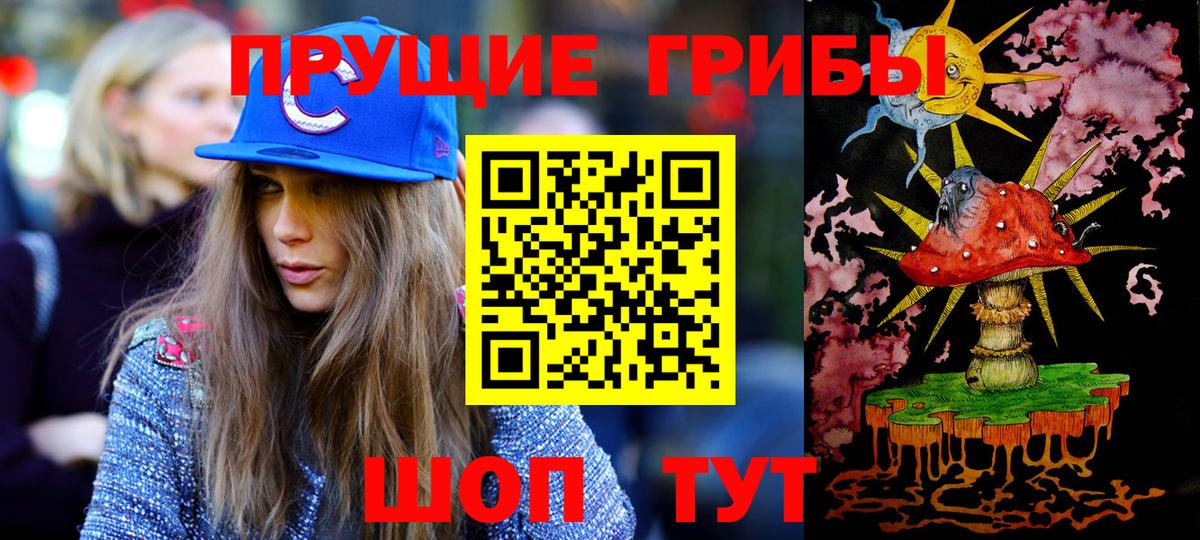 Псилоцибиновые грибы Cubensis Усолье-Сибирское